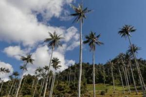 Parque Nacional Cutervo